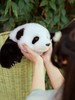 熊猫崽崽公仔 商品缩略图5