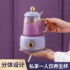 先科养生杯多功能电炖杯家用玻璃迷你电热水杯花茶加热杯批发礼品 商品缩略图1