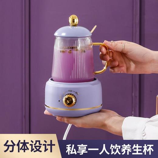 先科养生杯多功能电炖杯家用玻璃迷你电热水杯花茶加热杯批发礼品 商品图1
