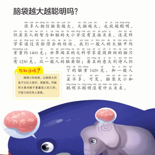 《十万个为什么》（彩绘注音版）全8册 商品图12