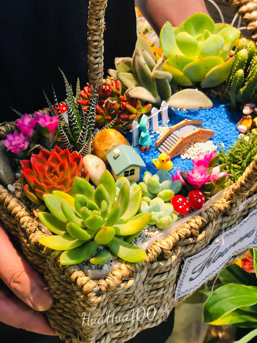 祝福花篮丨多肉系列（提前2~3天预订） 商品图1
