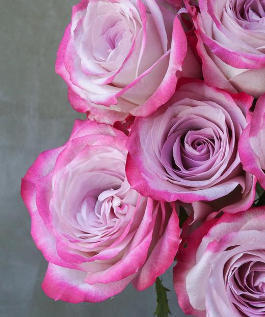 气场 Glamorous 商品图1