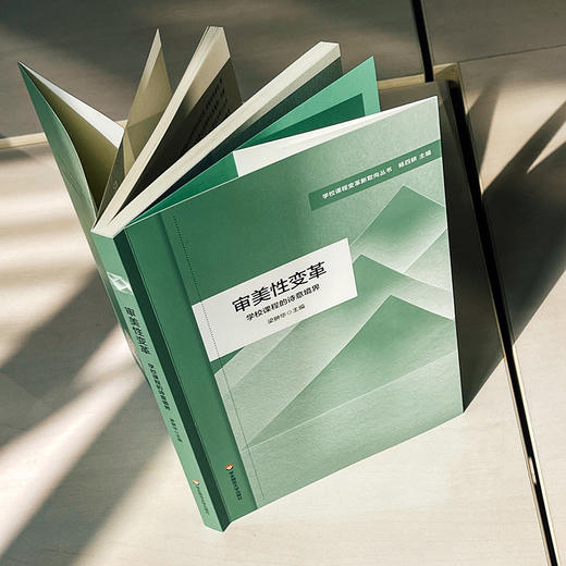 审美性变革 学校课程的诗意境界 学校课程变革新取向丛书 商品图3