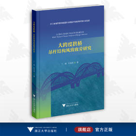 大跨度拱桥：吊杆结构风致疲劳研究/浙江省城市盾构隧道安全建造与智能养护重点实验室/丁杨/叶肖伟/基建/浙大城市学院基建丛书