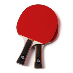 乒乓球拍