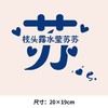个性文字百家姓氏 解 龚 苏 可水洗烫花热转印烫画贴衣服转印胸标 商品缩略图3