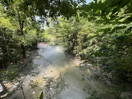 9.9元抢东峪翠谷景区  打卡“齐鲁小江南”  还有超刺激彩虹滑道！ 商品图6