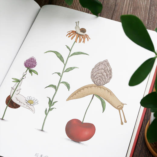 没有黏液的蜗牛  浪花朵朵 商品图2