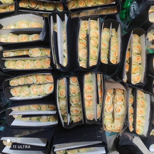 爱必达香槟 商品图2