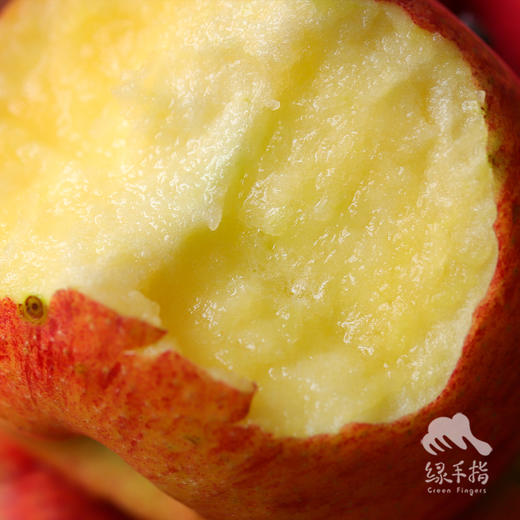 生态盐源苹果 | 合作生产 * Ecological Yanyuan Apple | Coproduction 商品图3