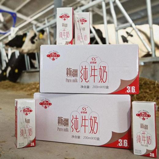金绿成 新疆纯牛奶200ml*10瓶 商品图1
