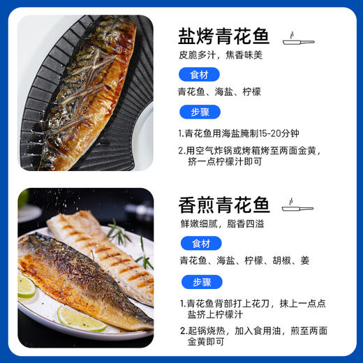 【萌萌姐专属】市舶士 挪威进口纯净深海捕捞青花鱼 冷冻海鲜水产鲭鱼900g/盒 商品图3