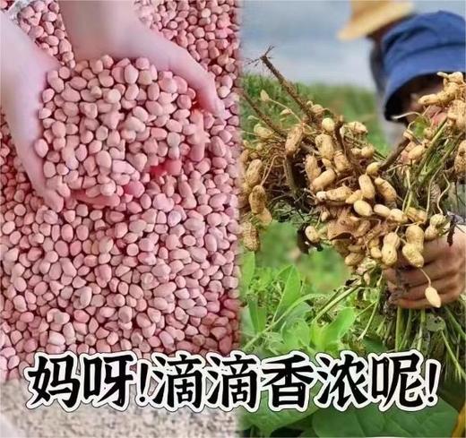 农家花生油 5斤装 商品图1