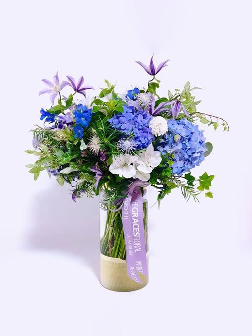 Reddish Blue 商品图0