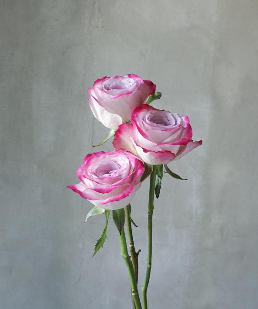 气场 Glamorous 商品图0