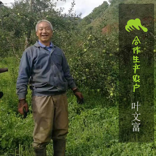 生态盐源苹果 | 合作生产 * Ecological Yanyuan Apple | Coproduction 商品图1