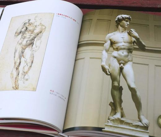 意大利君提出版社“艺术人生”系列9种+艺术家系列1种，大16开铜版彩印，[意大利]恩里卡.克里斯皮诺等著，太白文艺出版社2019年一版一印，前九种每册定价79.8元，《达芬奇》一册定价89，单册售价统 商品图5