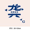 个性文字百家姓氏 解 龚 苏 可水洗烫花热转印烫画贴衣服转印胸标 商品缩略图1