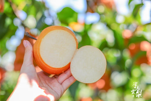 正宗莱阳秋月梨，礼盒装，梨中极品，肉嫩汁甜，入口细腻多汁，形似满月，果核小，满满的果肉，可食率极能达到95% 商品图2