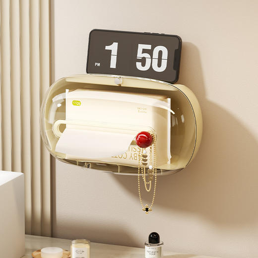 圆球纸巾盒 商品图0