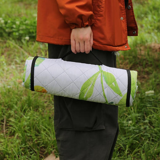 易路达 超声野餐垫 YLD-YCD-04 商品图3