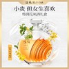 【积分当钱花】盛放花果酒500ml（桂花风味） 泸州老窖官方旗舰店 商品缩略图0