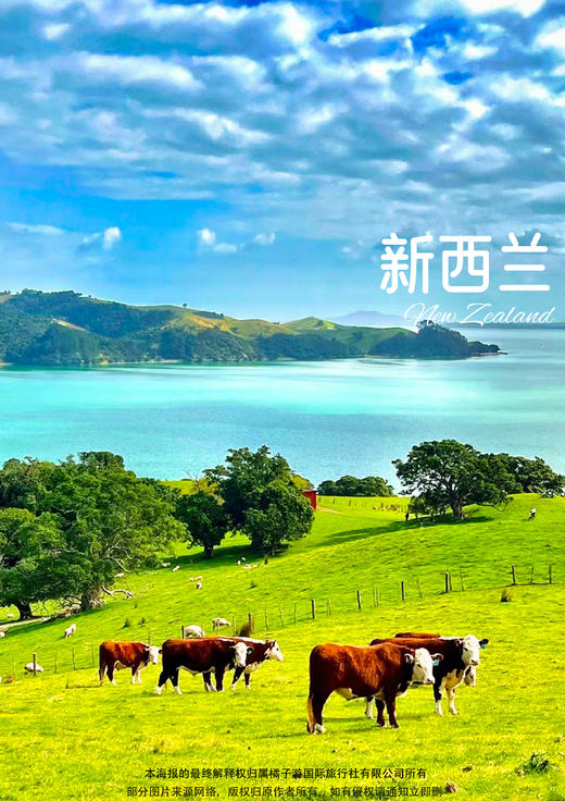 新西兰个人（旅游/探亲/商务）签证 商品图0