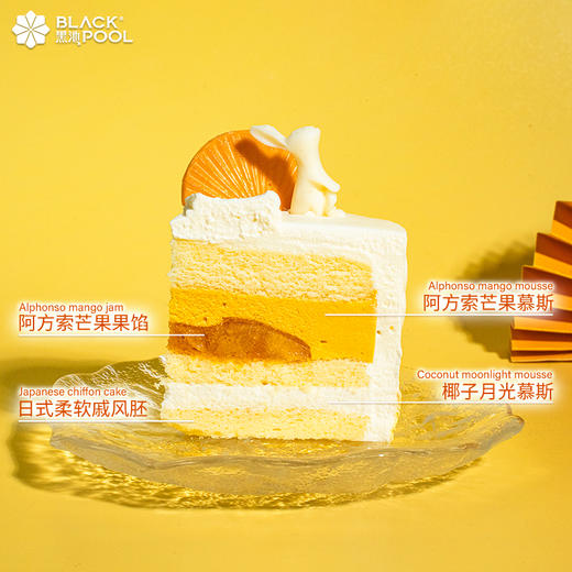 （预约验券专用）【中秋·望月芒果椰子软忌廉】验券不成功不发货，选择款式，备注平台+券码，下单支付0.01元即可 商品图4