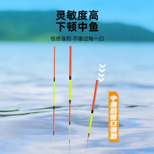 佳钓尼浅水短尾漂醒目高灵敏鲫鱼漂草洞水皮白条石斑钓虾鱼漂浮漂 商品图3