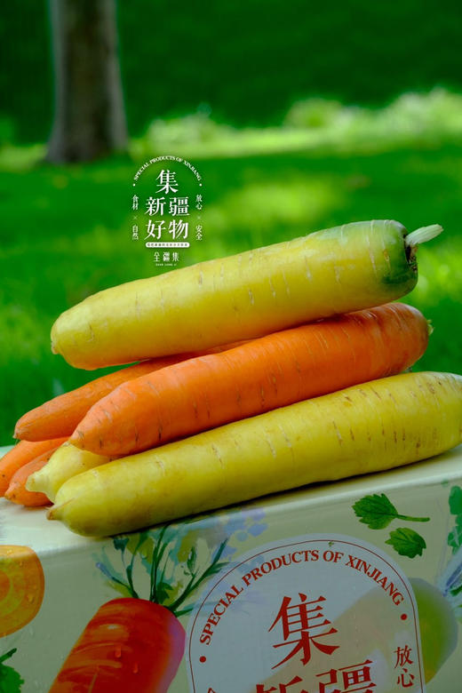 新疆黄萝卜/胡萝卜，甜津津，脆丝丝 商品图3