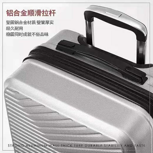 洛得兰德夏威夷系列拉杆箱20寸（银色）20银色 商品图3