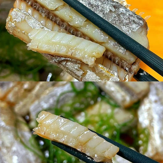 渤海湾冷水鲜带鱼（纯鲜，不是冰冻的）可以清蒸！3斤左右/箱 商品图6