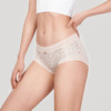 都市丽人基础系列纯色蕾丝网布平角女士内裤中腰平角裤LK35F2 商品缩略图1