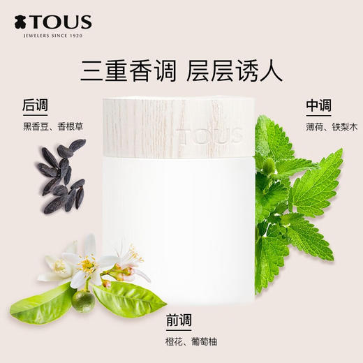 桃丝熊（TOUS）悠情男士/女士淡香水送母亲生日礼物送女友送老婆送男友教师节 悠情男士古龙水100ml 商品图1