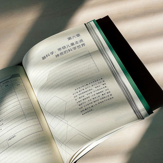 审美性变革 学校课程的诗意境界 学校课程变革新取向丛书 商品图14