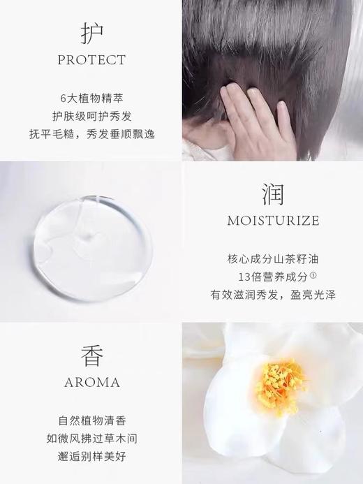 青彩山茶莹润亮泽护发精油女防毛躁柔顺改善干枯40ml 商品图1