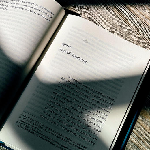 重建中的反思 重新理解历史唯物主义 杨耕文集 第4卷 解读马克思主义 商品图6