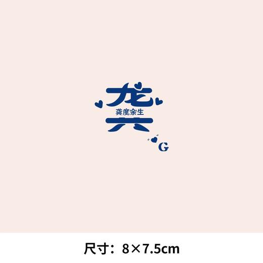 个性文字百家姓氏 解 龚 苏 可水洗烫花热转印烫画贴衣服转印胸标 商品图2