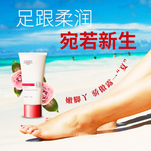 裂博山茶籽油手霜、足霜、身体乳系列 商品图8