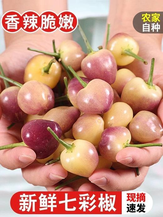 【现发鲜货】广西新鲜七彩辣椒五彩椒小泡椒灯笼剁椒彩色椒彩椒 商品图2