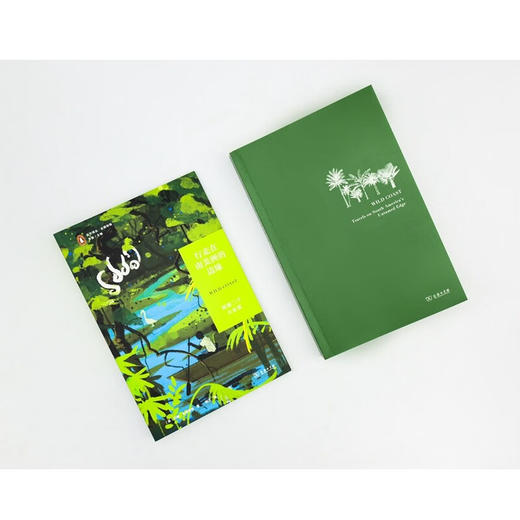 行走在南美洲的边缘：探秘三个圭亚那（远方译丛·企鹅特辑（第二辑）） [英]约翰·吉姆雷特 著 刘洋 译 商务印书馆 商品图3