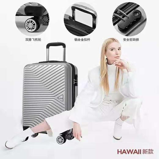 洛得兰德夏威夷系列拉杆箱20寸（银色）20银色 商品图0