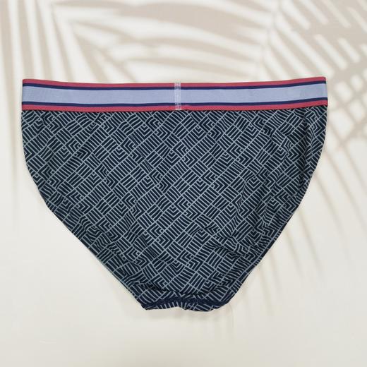 【印花莫代尔】SCHIESSER德国舒雅莫代尔中腰三角内裤39/21784S 商品图1