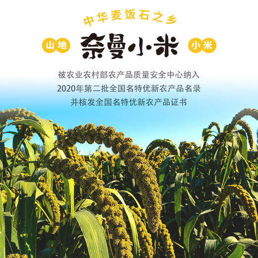 奈曼山地黄小米（氮气保鲜）(2.5kg（250g×20袋）/盒） 商品图4