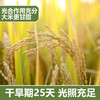 稻花香2号沙漠大米（氮气保鲜）(2.5kg（250g×10袋）/盒） 商品缩略图4