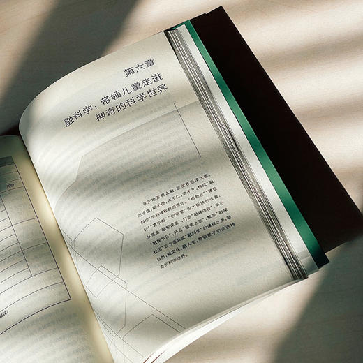 审美性变革 学校课程的诗意境界 学校课程变革新取向丛书 商品图13