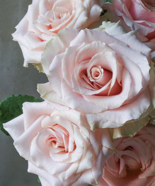 流沙 Quick Sand 商品图1