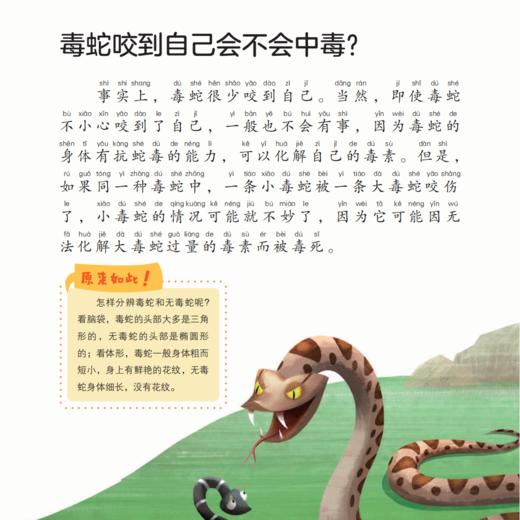 《十万个为什么》（彩绘注音版）全8册 商品图9