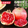 【月满家和】会理软籽石榴礼盒 8枚装（单果400-600g）【包邮直发】（ZB） 商品缩略图0