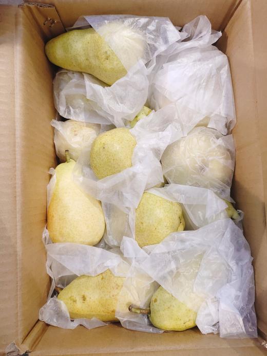 茄梨2斤（拼团） 商品图1